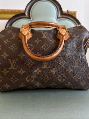 Louis Vuitton Brown Monogram Canvas Mini Speedy Top-Handle Bag